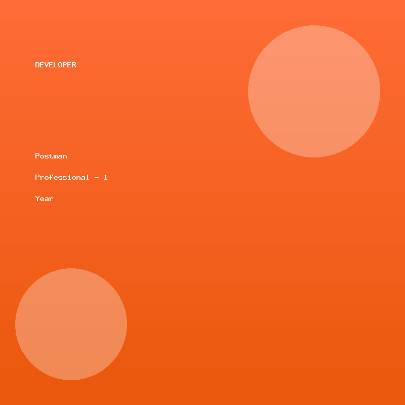 Postman Professional - 1 Year