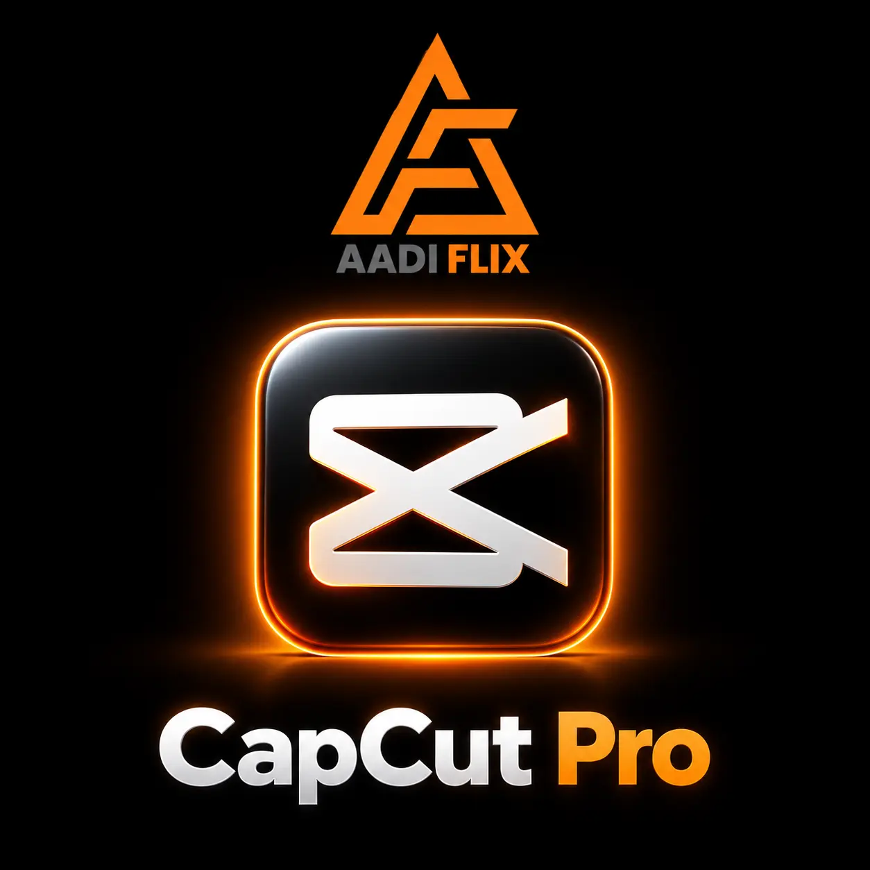 CapCut Pro - Private Plans